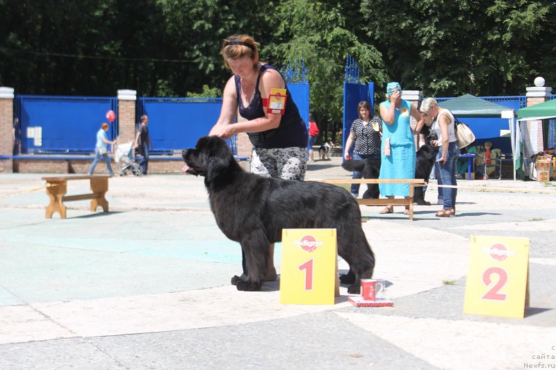 Фотография № 184861