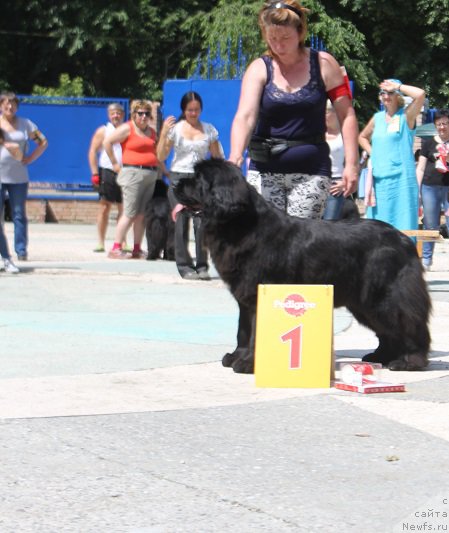 Фотография № 184862