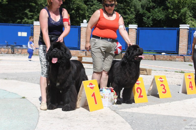 Фотография № 184863