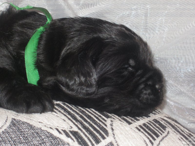 Фото: Наталья Смазчикова