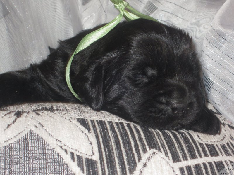 Фото: Наталья Смазчикова