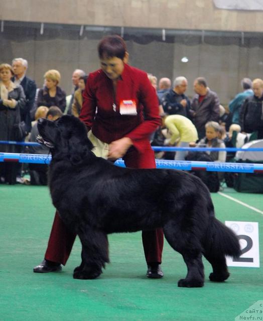 Фотография № 18491