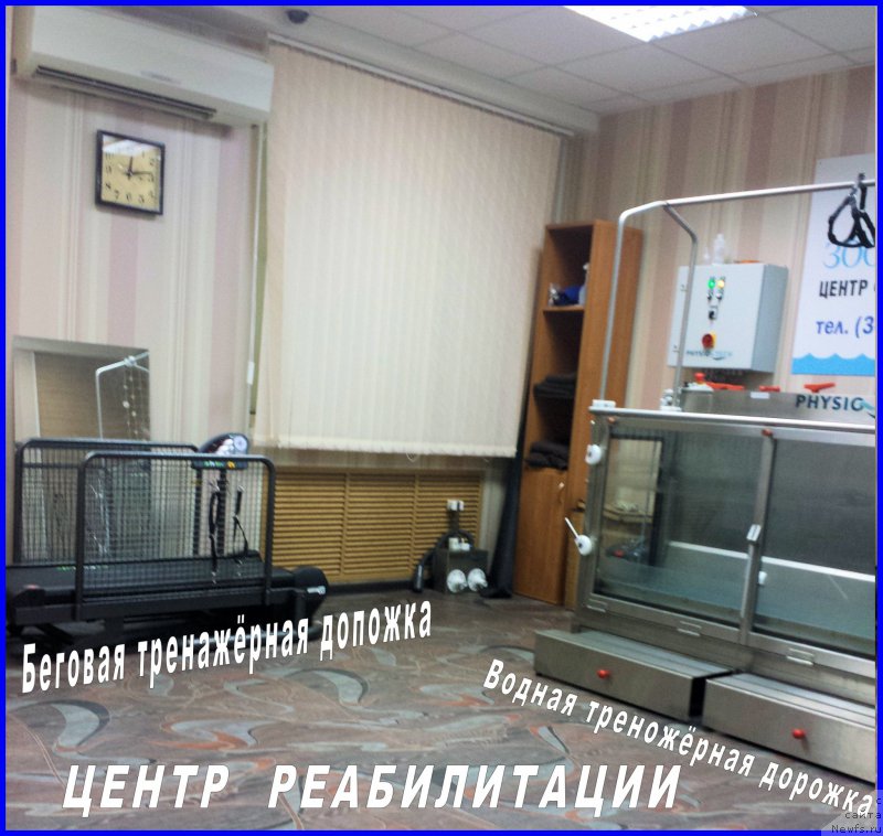 Фотография № 184914