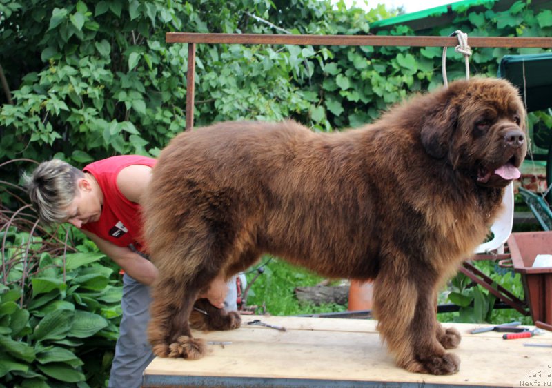 Фото: [d12040].[p795:Катюша]