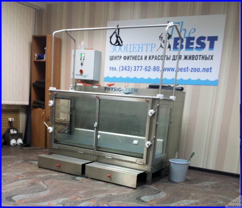 Фотография № 184917