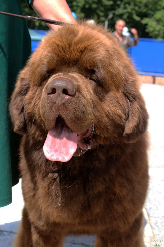 Фотография № 184919