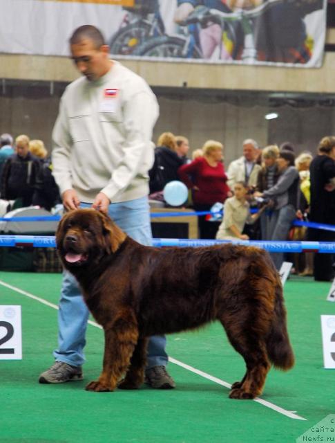 Фотография № 18492