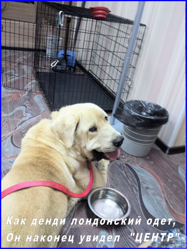 Фото: Лена Зырина, ФРАНКО