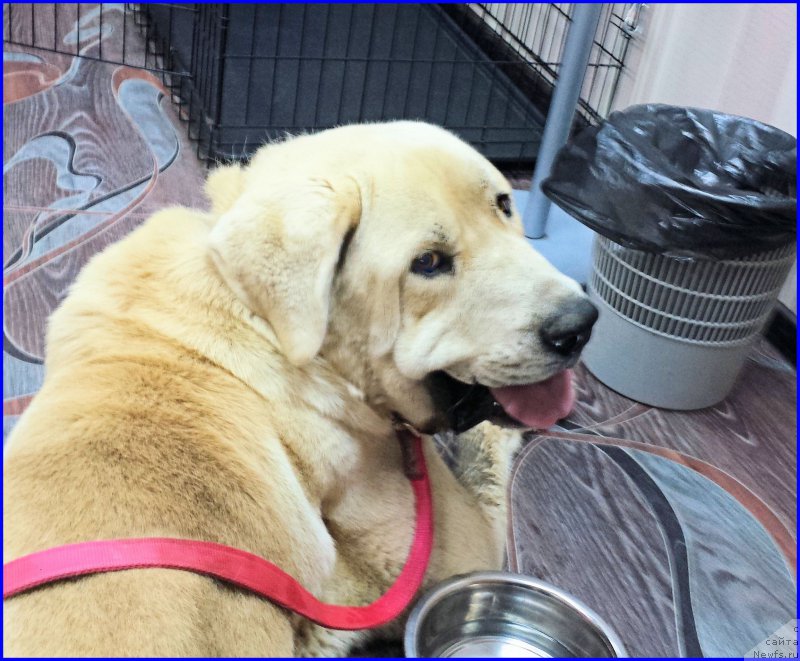 Фотография № 184921