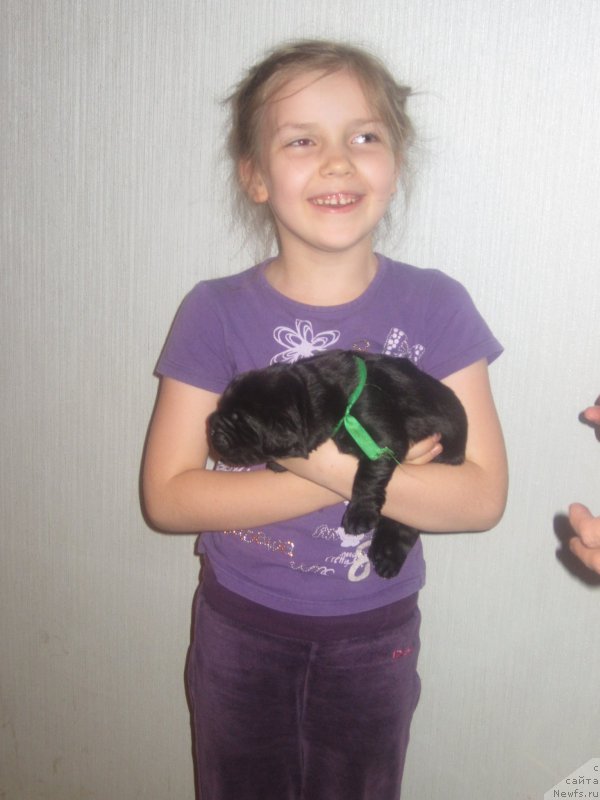 Фото: Наталья Смазчикова