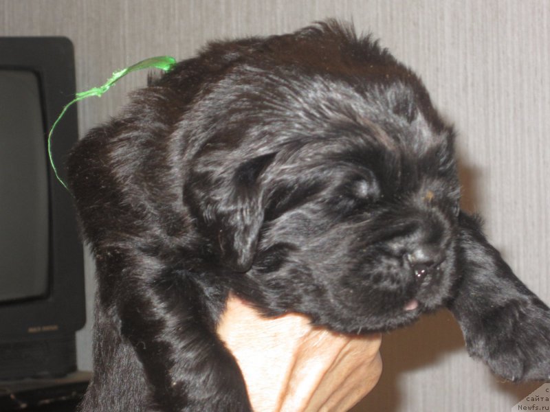 Фото: Наталья Смазчикова