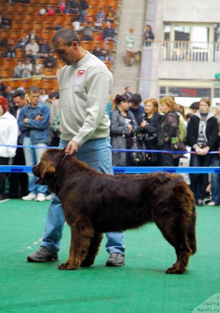 Фотография № 18493