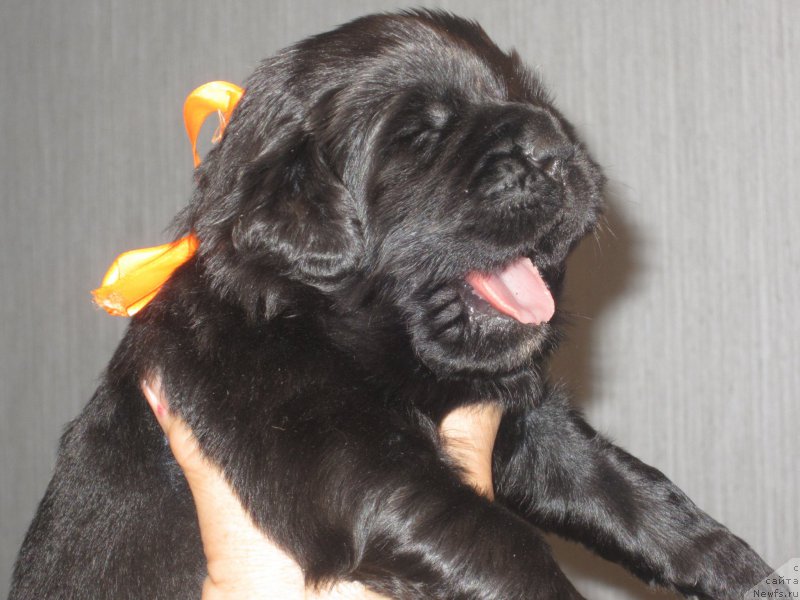 Фото: Наталья Смазчикова