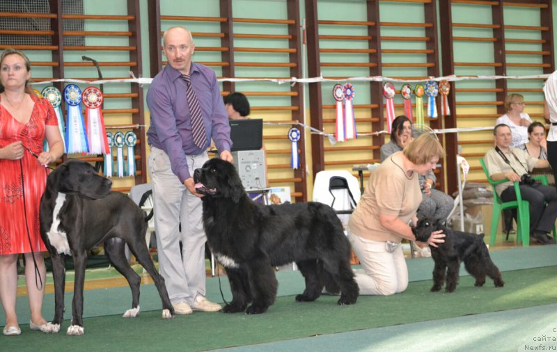 Фотография № 184938