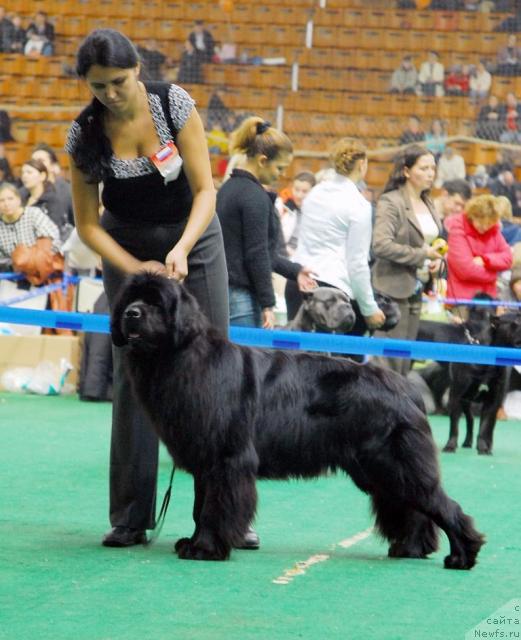 Фотография № 18494