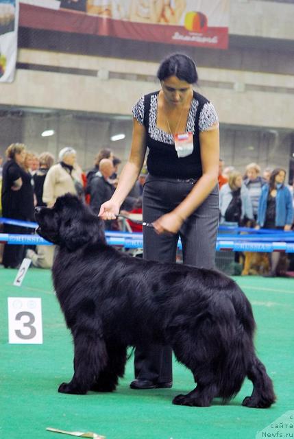 Фотография № 18495