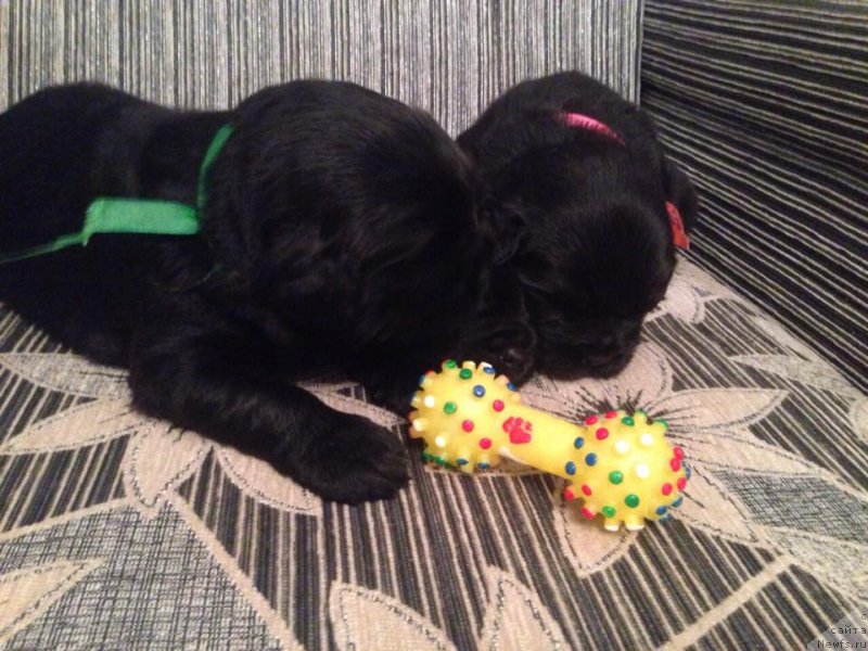 Фото: Наталья Смазчикова