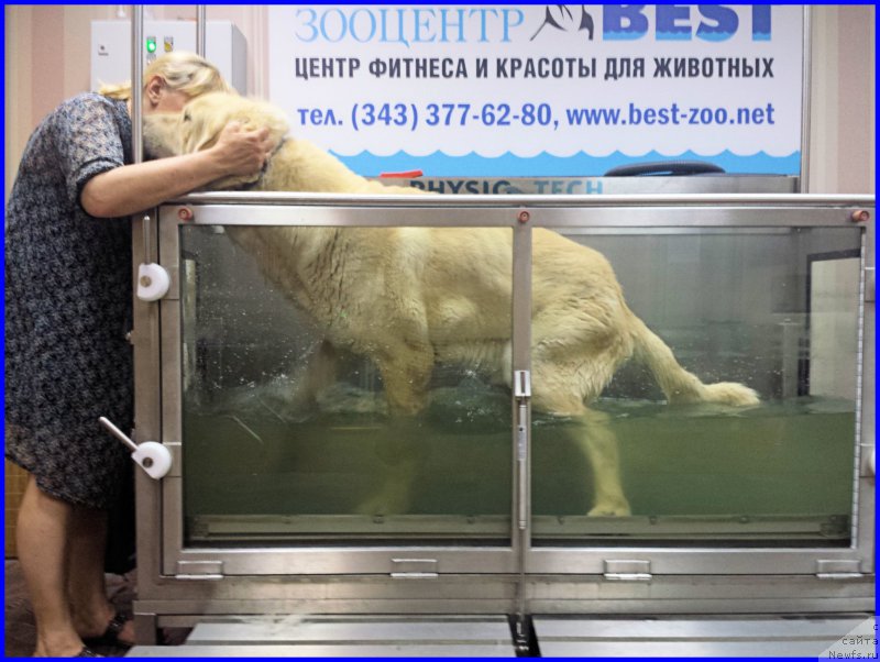 Фотография № 184977