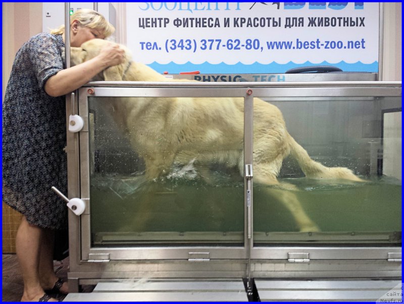 Фотография № 184978