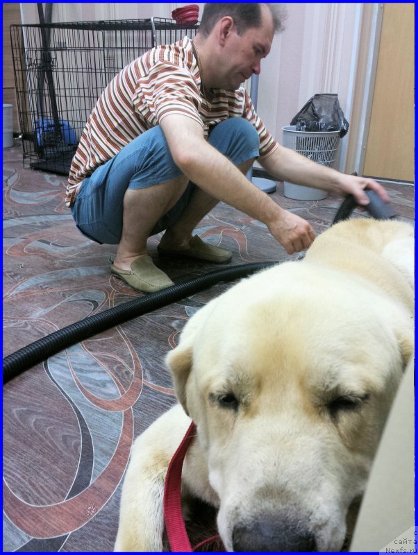 Фото: Лена Зырина, ФРАНКО