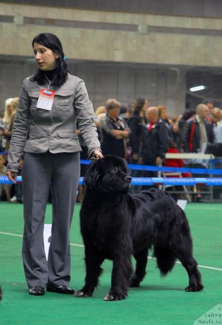 Фотография № 18498