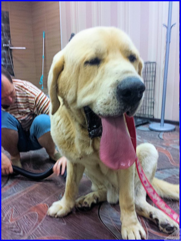 Фотография № 184980