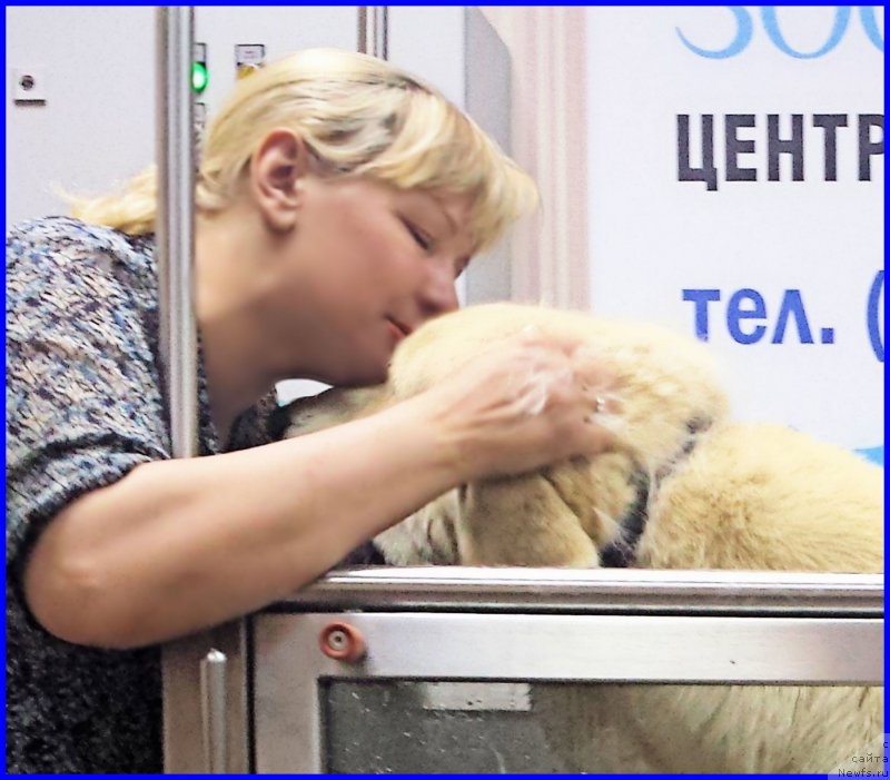 Фотография № 184982