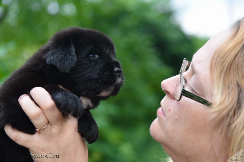 Фотография № 184988