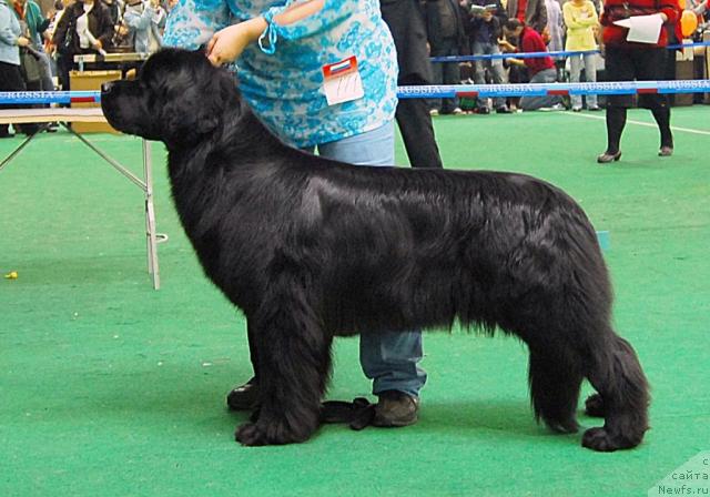 Фотография № 18499