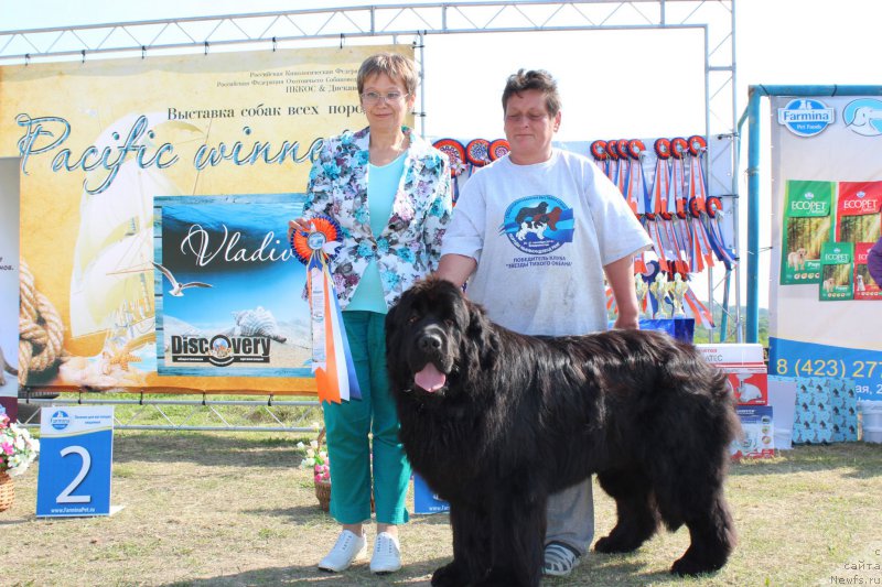 Фотография № 185016