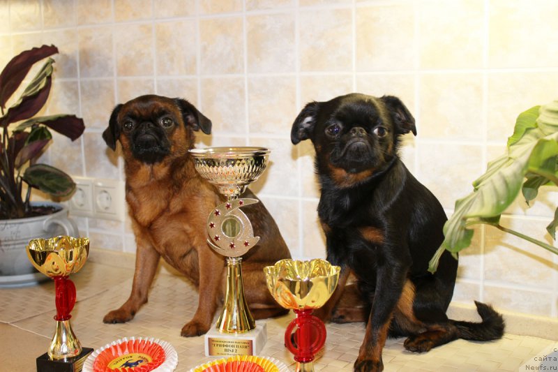 Фотография № 185022