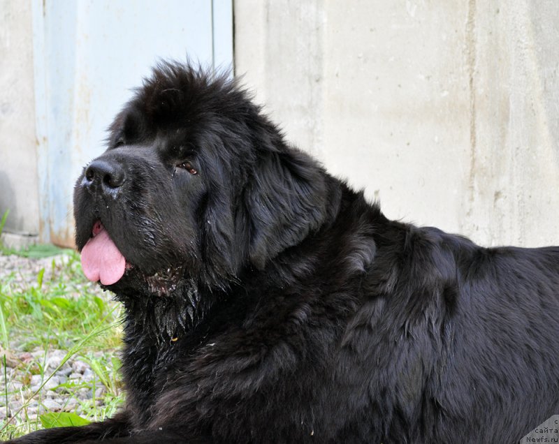 Фотография № 185028