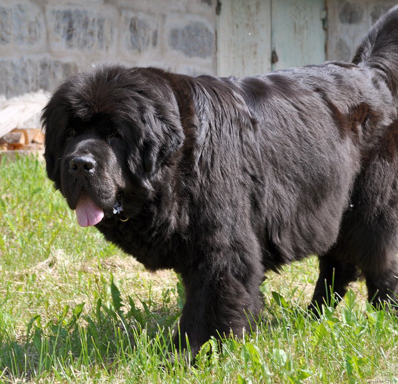 Фотография № 185029