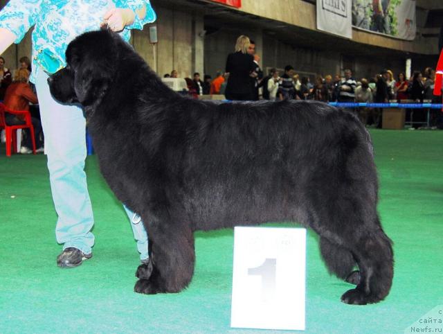 Фотография № 18503