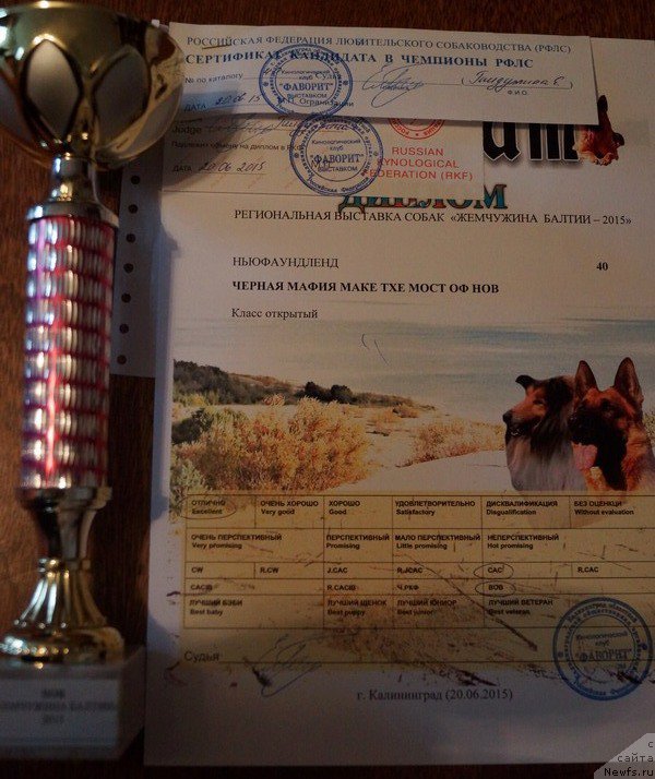 Фотография № 185035