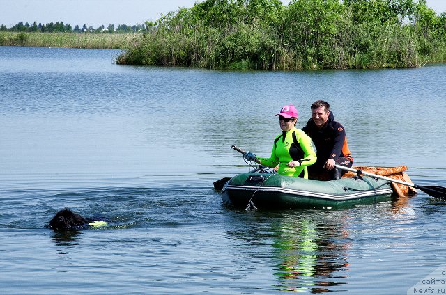 Фотография № 185037