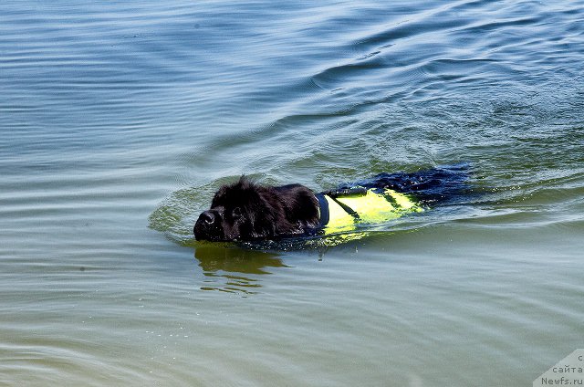 Фотография № 185038