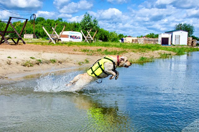 Фотография № 185039