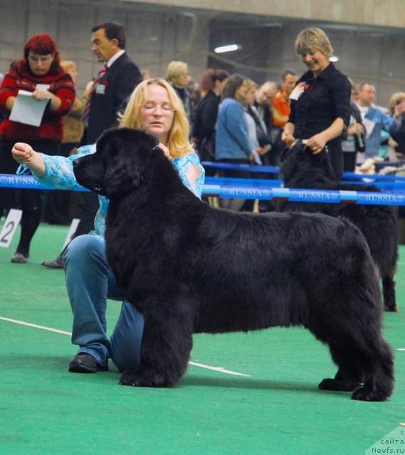 Фотография № 18504