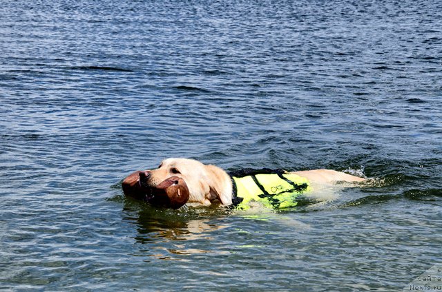 Фотография № 185040