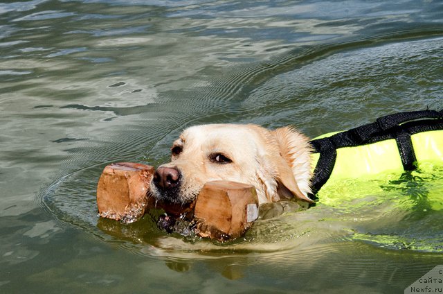 Фотография № 185041