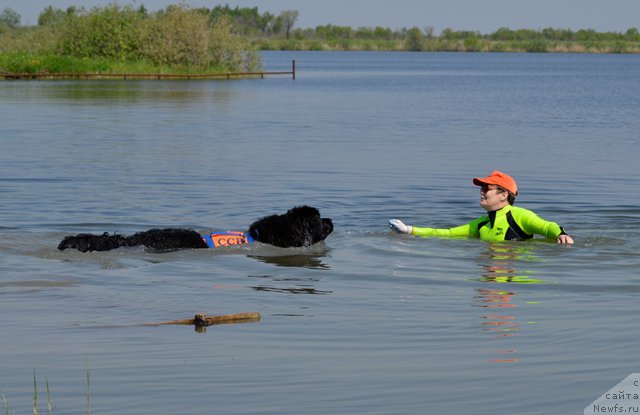 Фотография № 185042