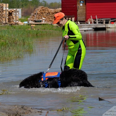 Фотография № 185043