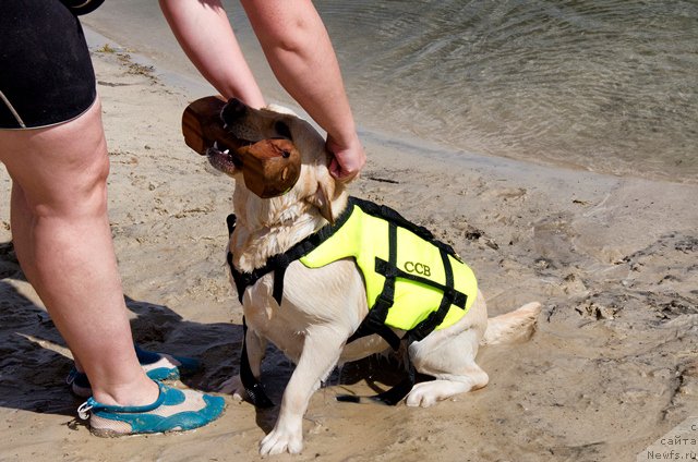 Фотография № 185045