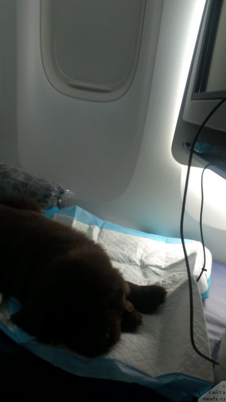 Фотография № 185048