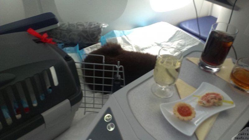 Фотография № 185049