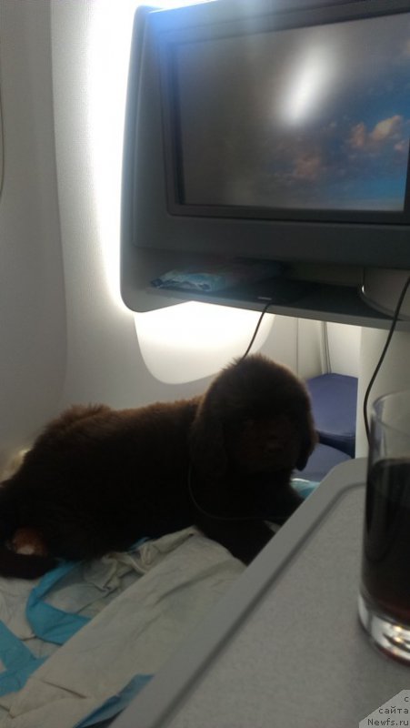 Фотография № 185050