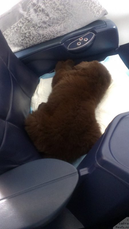 Фотография № 185052