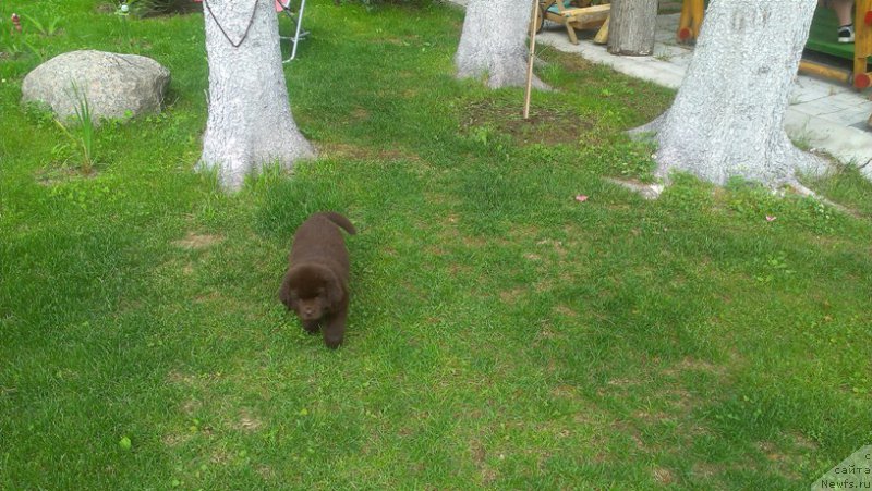 Фотография № 185053