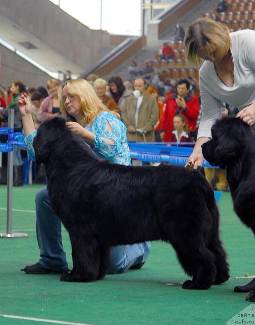 Фотография № 18506